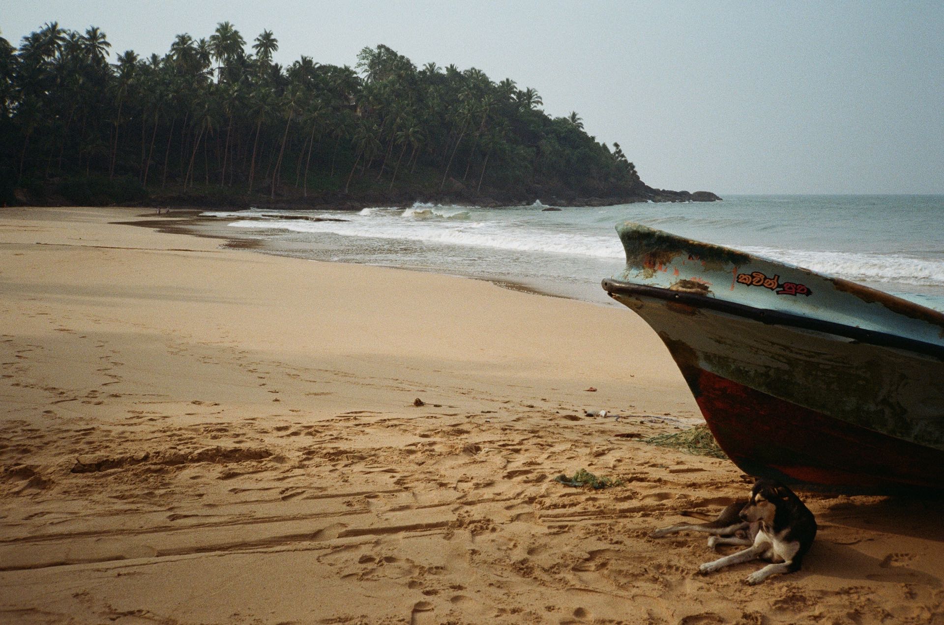analog boat fotoromanza srilanka frank travel studio