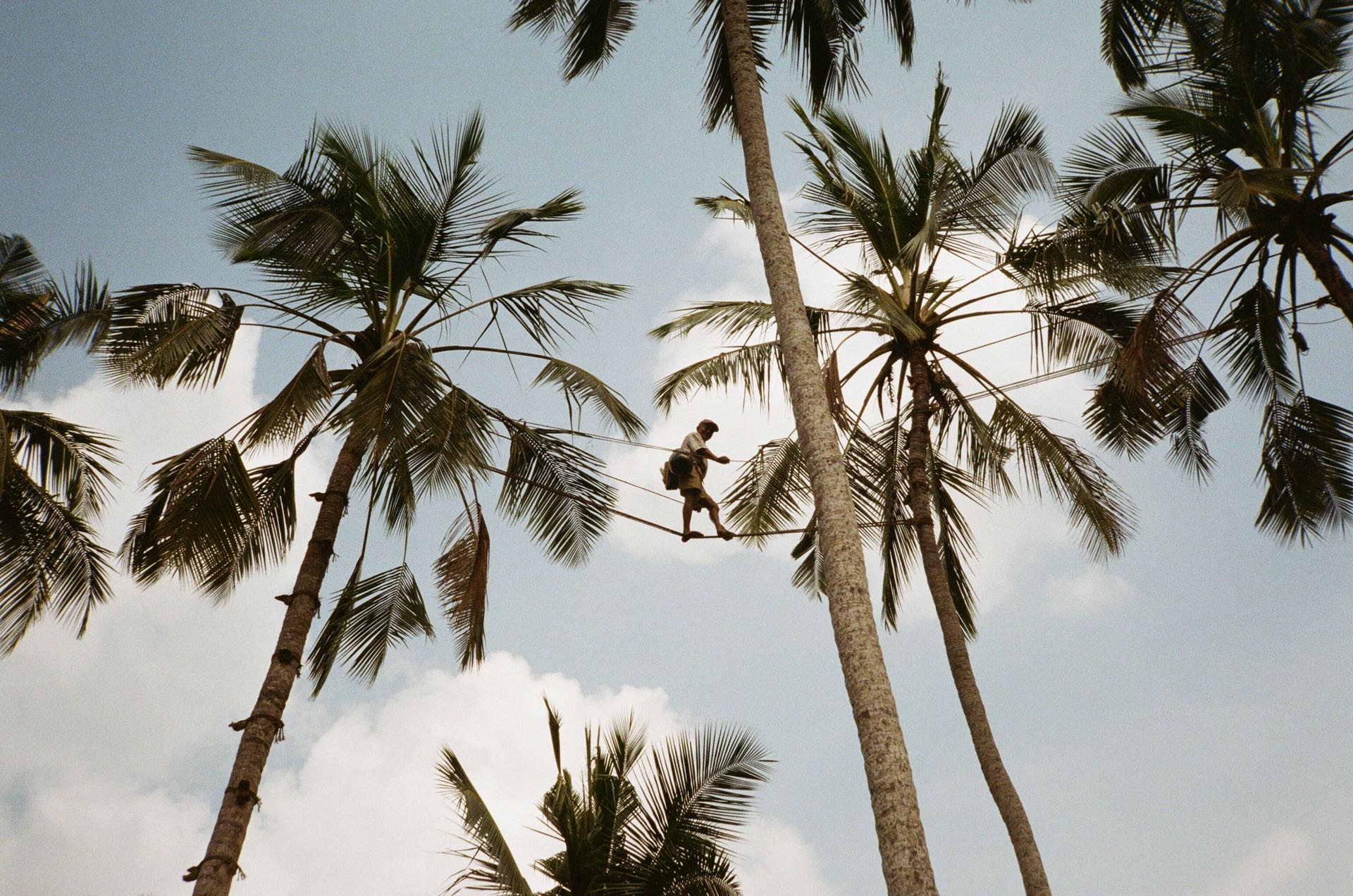 palmtree fotoromanza analog studio travel frank srilanka
